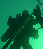 Diver on line