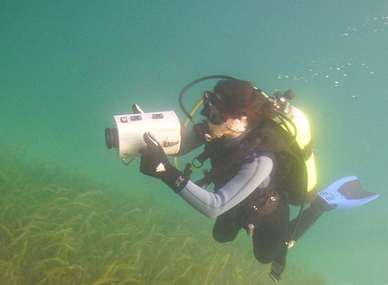 Diver with underwater camera